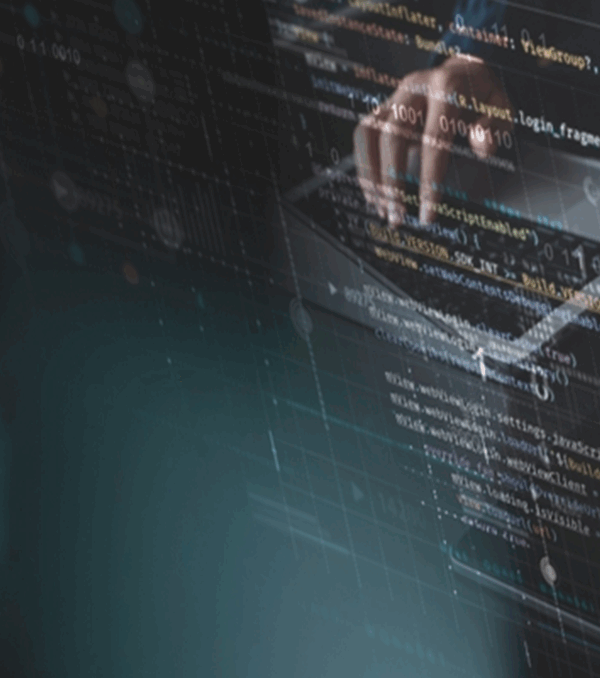 Custom Web Development Services in USA - Get Quote Now