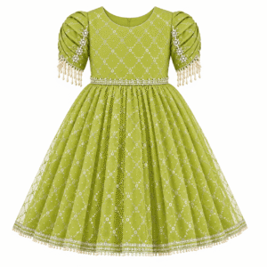 Lime Green Embroidered Party Dress